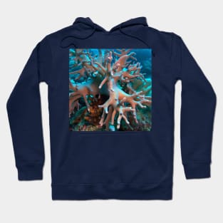 Red Sea Soft Coral Hoodie